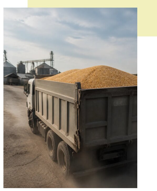 Перевозка сельхозпродукции навалом в Горное-Алтайск по цене от 3110 р. | Агросервис-Грн